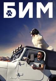 Бим 1 Сезон Сериал 2022 Все (1-20 серии) подряд